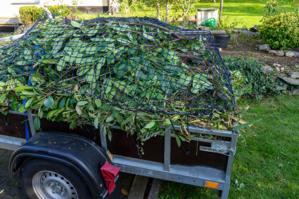 Best Carpet Removal and Disposal  in Englishtown, NJ